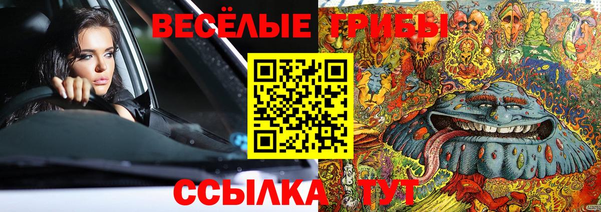 Малгобек  Псилоцибиновые грибы Psilocybine cubensis  Вход с VPN  Галлюциногенные грибы прущие грибы 